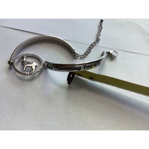 1784"Never Forget How Llamazing You Are" Bangle Llama Gift Alpaca Charm Bracelet - Picture 5 of 5